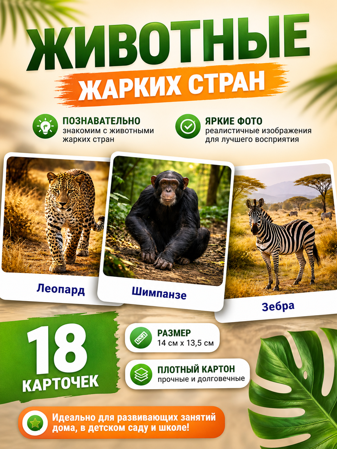 Развивающие карточки Животные жарких стран