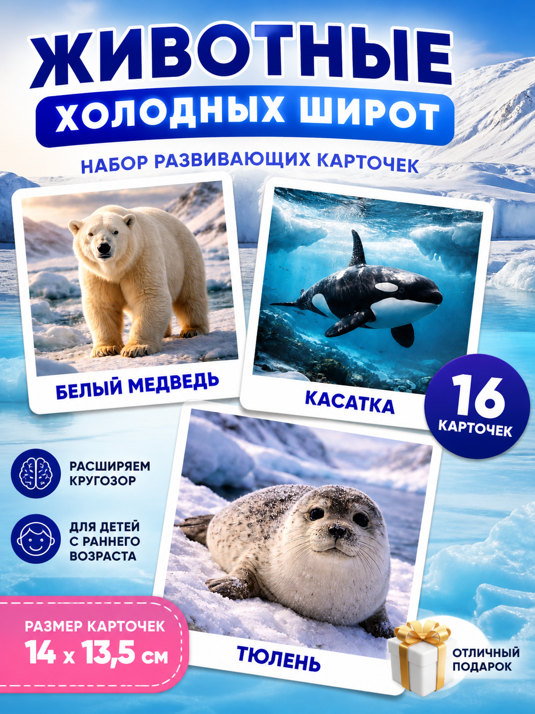 Развивающие карточки Животные холодных широт