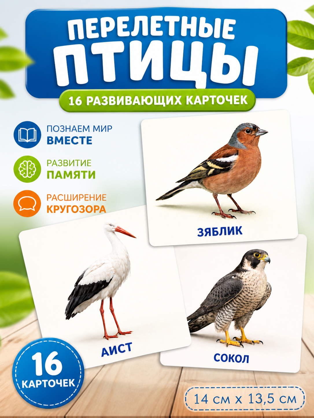 Развивающие карточки Перелётные птицы